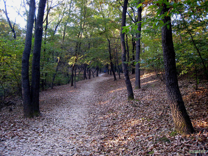 �̹����� Ŭ���ϸ� ������ ���� �� �ֽ��ϴ�.