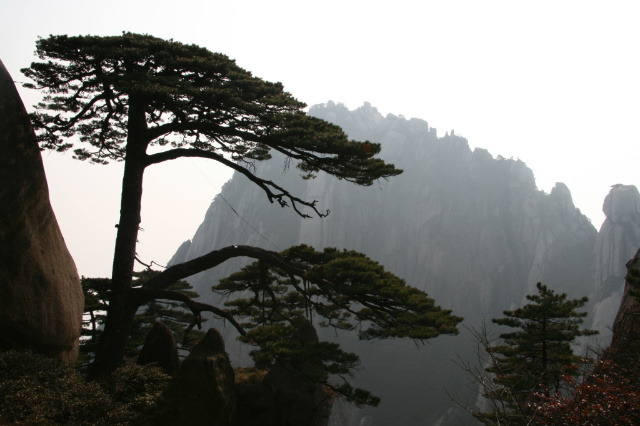 �̹����� Ŭ���ϸ� ������ ���� �� �ֽ��ϴ�.