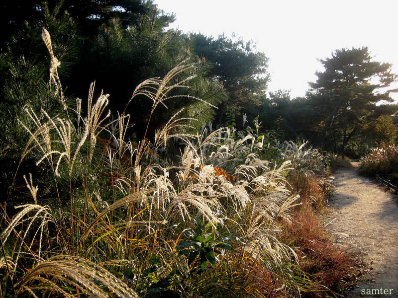 �̹����� Ŭ���ϸ� ������ ���� �� �ֽ��ϴ�.