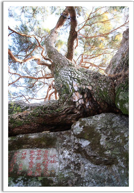 �̹����� Ŭ���ϸ� ������ ���� �� �ֽ��ϴ�.