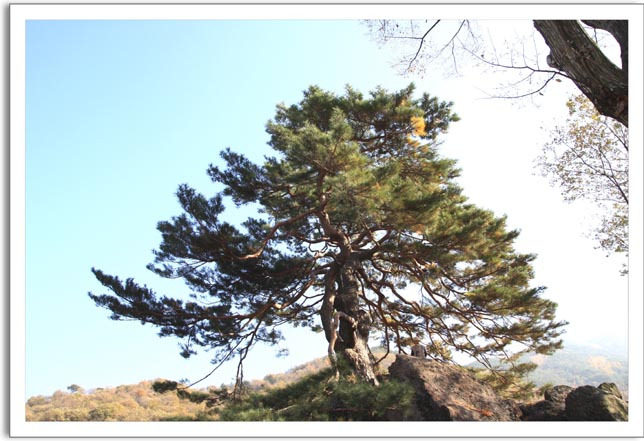 �̹����� Ŭ���ϸ� ������ ���� �� �ֽ��ϴ�.