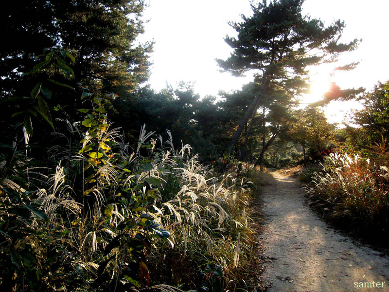 �̹����� Ŭ���ϸ� ������ ���� �� �ֽ��ϴ�.