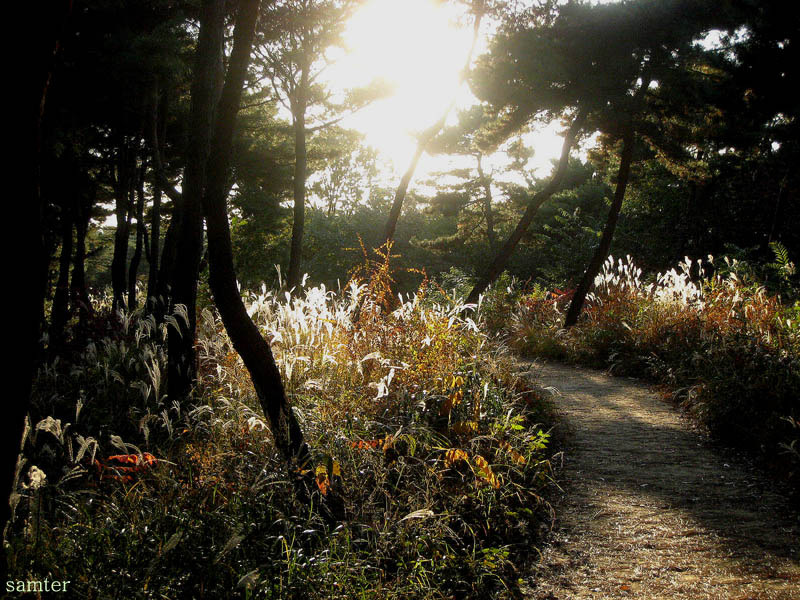 �̹����� Ŭ���ϸ� ������ ���� �� �ֽ��ϴ�.