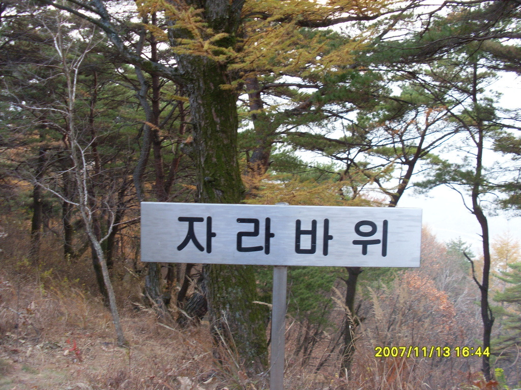 자라바위 이미지