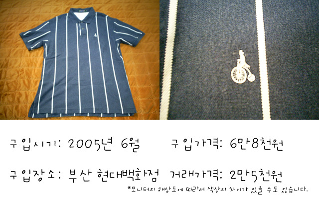 타미 이미지