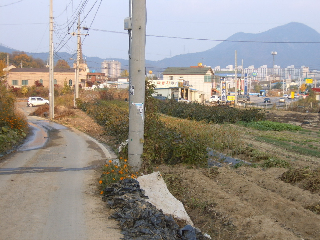 석적주유소 이미지