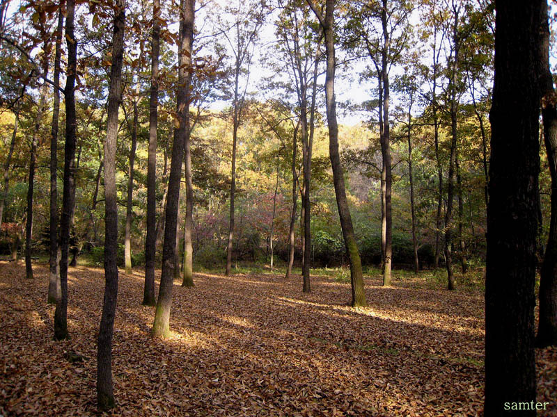 �̹����� Ŭ���ϸ� ������ ���� �� �ֽ��ϴ�.